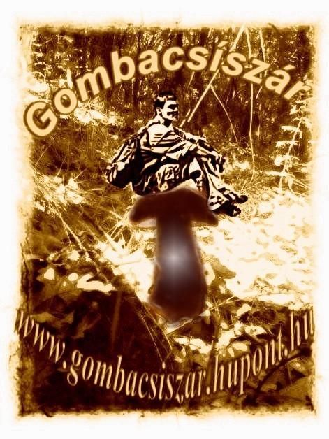 gombacsiszar_2011.jpg