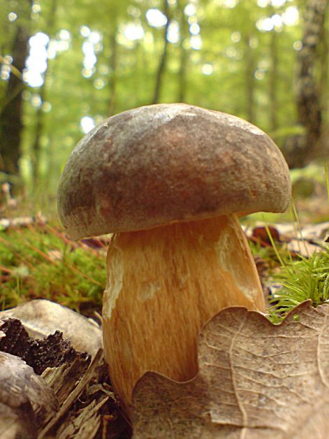 varganya_2011_08_010.jpg